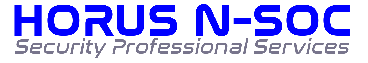 N-SOC Logo